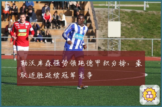 勒沃库森强势领跑德甲积分榜，豪取连胜延续冠军竞争